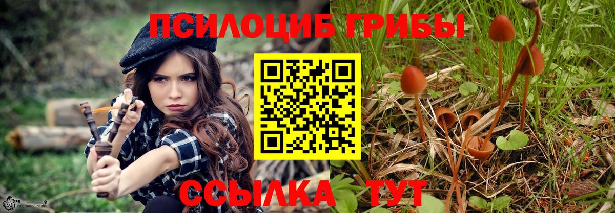 Магнитогорск  где продают наркотики  Вход с VPN  Псилоцибиновые грибы Psilocybine cubensis 