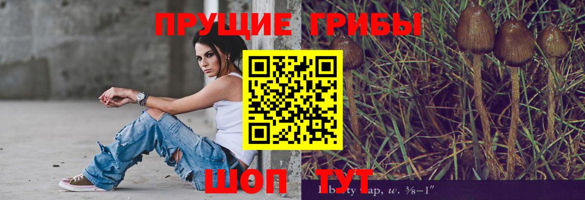 Галлюциногенные грибы GOLDEN TEACHER Магнитогорск